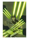 Wolverine Weapon X 2 Cover: Wolverine