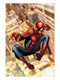 The Amazing Spider-Man 549 Cover: Spider-Man