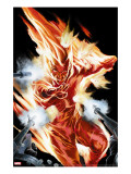 The Marvels Projects 2 Cover: Human Torch