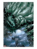 Incredible Hulk 70 Cover: Hulk
