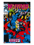 Wolverine 7 Cover: Wolverine  Hulk and Karma