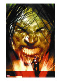 Dark Reign: The List - Hulk 1 Cover: Banner  Bruce and Skaar