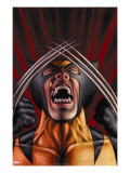 X-Men Origins: Wolverine 1 Cover: Wolverine