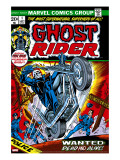 Ghost Rider 1 Cover: Ghost Rider