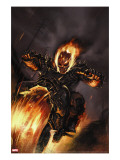 Ghost Rider 20 Cover: Ghost Rider Fighting
