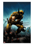 Wolverine 20 Cover: Wolverine