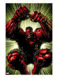Hulk: Red Hulk Must Have Hulk 3 Cover: Hulk