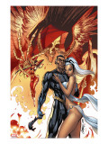 Black Panther 5 Cover: Black Panther and Storm