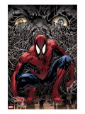 The Amazing Spider-Man 553 Cover: Spider-Man
