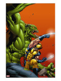 Timestorm 2009/2099 3 Cover: Wolverine