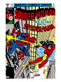 Spider-Woman 20 Cover: Spider Woman and Spider-Man Fighting