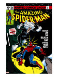 Amazing Spider-Man 194 Cover: Spider-Man and Black Cat
