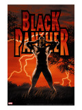 Black Panther 6 Cover: Black Panther