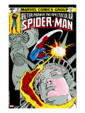 The Spectacular Spider-Man Cover: Spider-Man  Peter Parker  and Human Torch