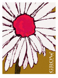 Grow Through it - White Daisy