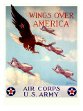 WWII US Army Air Corps 'Wings Over America'