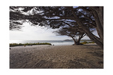 Shaded Beach  Carmel by the Sea  California