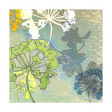 Wildflower Shadows
