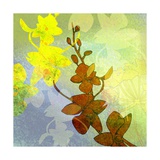 Orchids Inspired