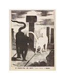 Le rendez-vous des chats  1868