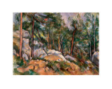 Forest Interior  circa 1898-1899