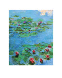 Water Lilies  circa 1914-1917