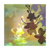 Floral Shadows