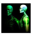 Man Bone 28