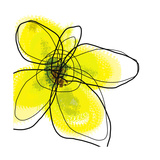 Yellow Petals 1