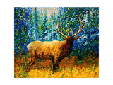 Alaskan Elk
