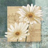 Daisy Field I