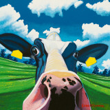 Cow II  Nosey Cow