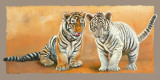 Oh My Sister! Ranthambore et Singalila