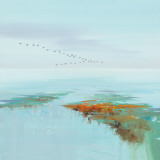 Flying Birds