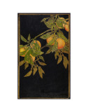 Branch of Oranges