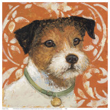 Terrier