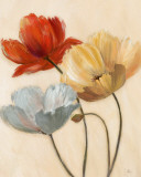 Poppy Palette II
