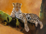 Léopard du Serengeti