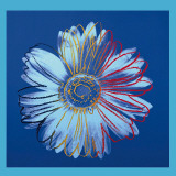 Daisy  c1982 (Blue on Blue)