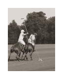 Polo In The Park II