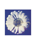 Flower for Tacoma Dome  c1982 (Blue and White)