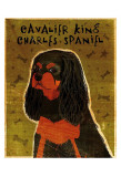 Cavalier King Charles (black and tan)