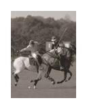 Polo In The Park I
