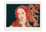 Details of Boticelli's Birth of Venus  c1984