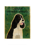 English Springer Spaniel (black and white)