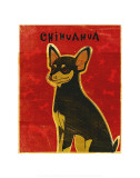 Chihuahua (black and tan)