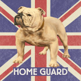 Plucky Brits I
