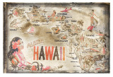 Aloha Hawaii