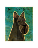 Scottish Terrier