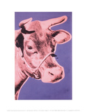 Cow  1976